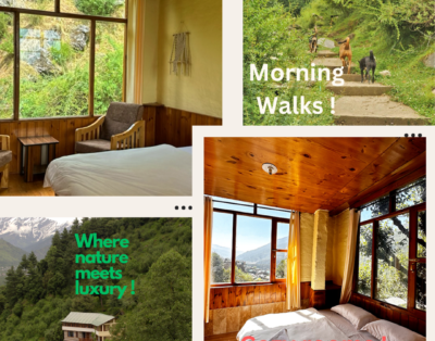 In to The Wild – Manali